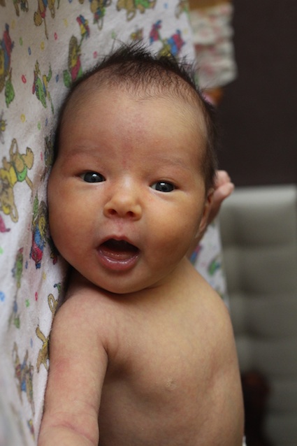 Наша моська