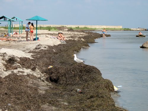 Порт Хорли (Херсонська обл) та Асканія-Нова