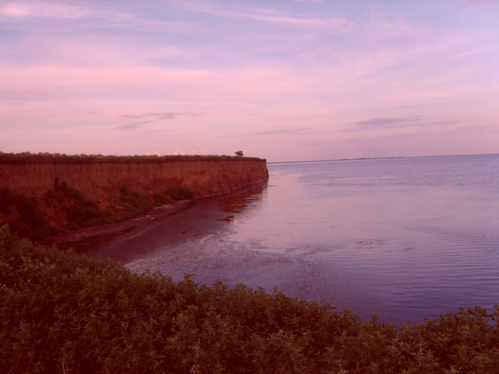 Порт Хорли (Херсонська обл) та Асканія-Нова