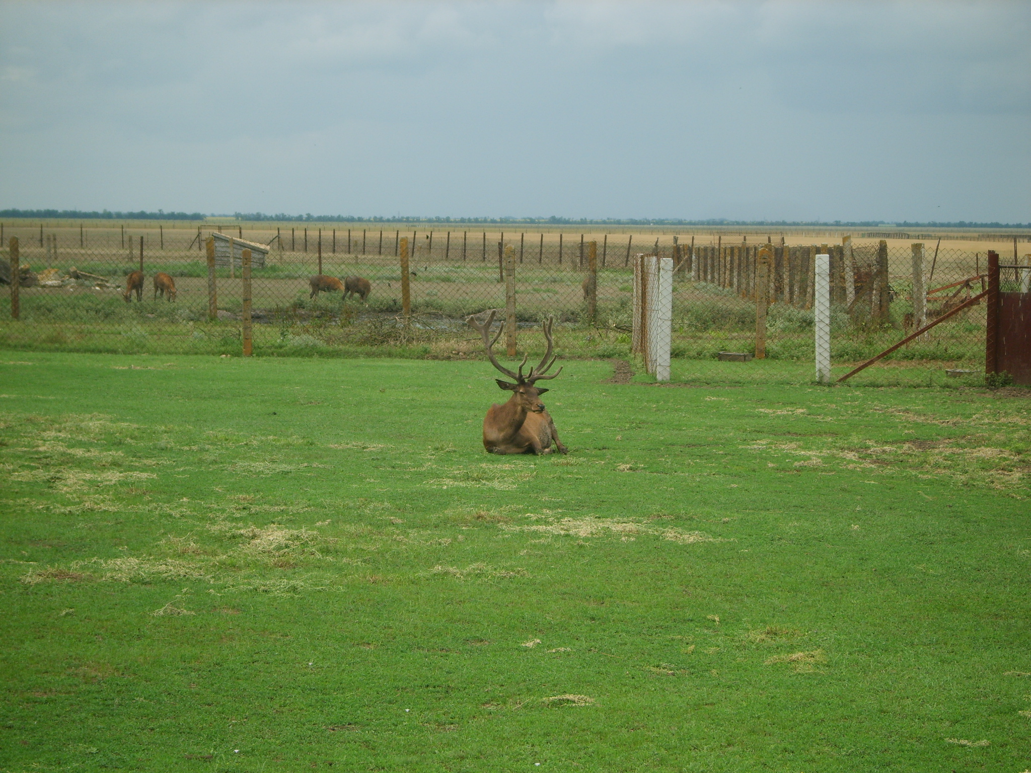 Порт Хорли (Херсонська обл) та Асканія-Нова