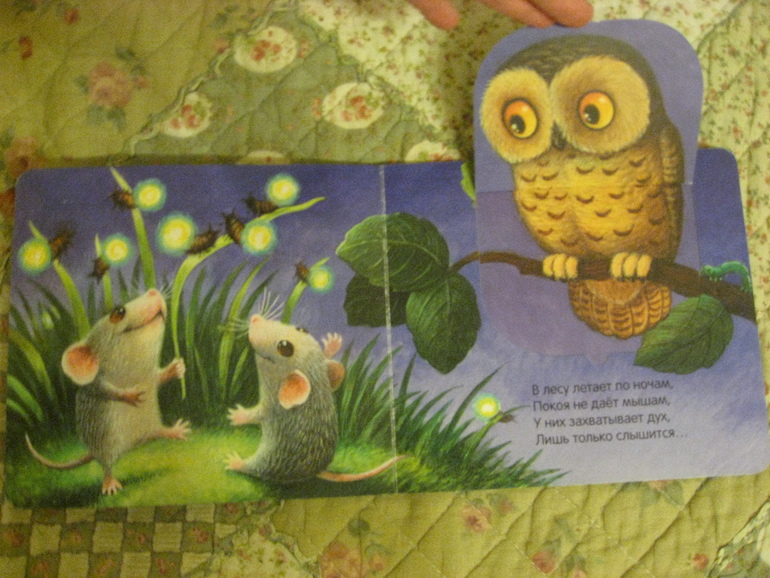 Наши книжки (1 год 6 месяцев)