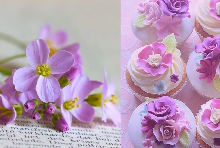 Набор свежайших домашних сладостей к 8 марта!!! Самый красивый и вкусный подарок!!!