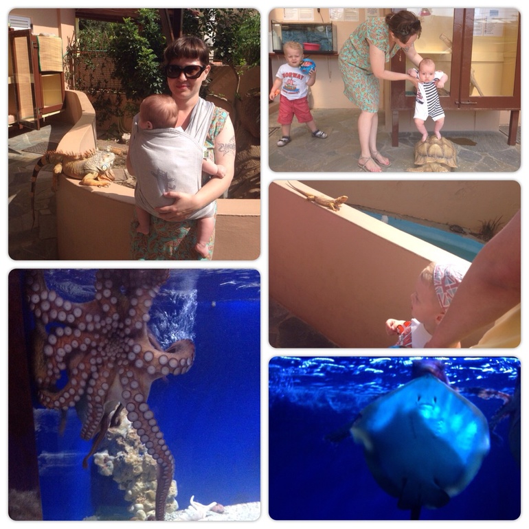 На Крит большой семьей :-)