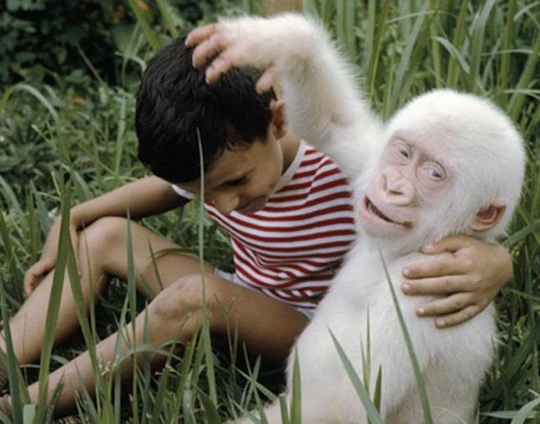 У природы кончились краски.