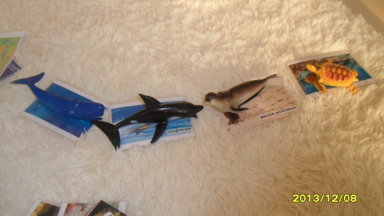 ТН МОРЕ ДЕНЬ 4