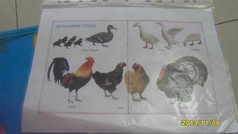 Моя семья. Заключительный день