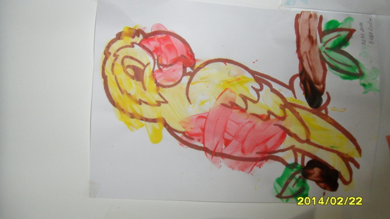 Птицы день1