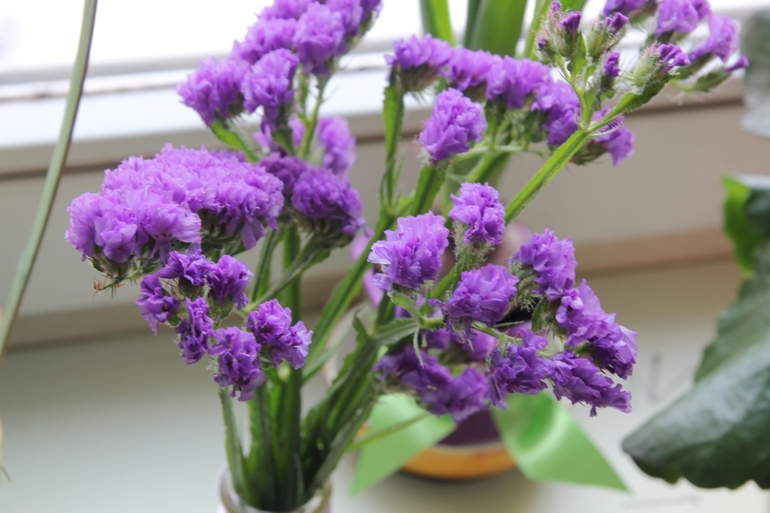 Вот и прошла весна... Наша ВЕСНА 2014