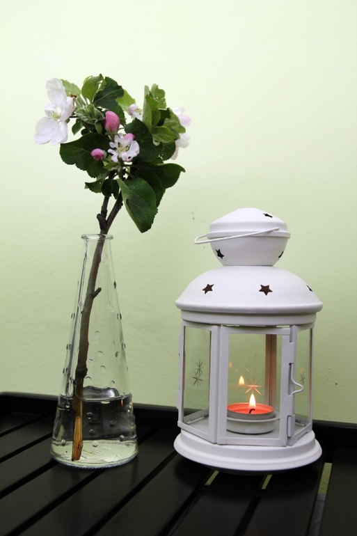 Вот и прошла весна... Наша ВЕСНА 2014