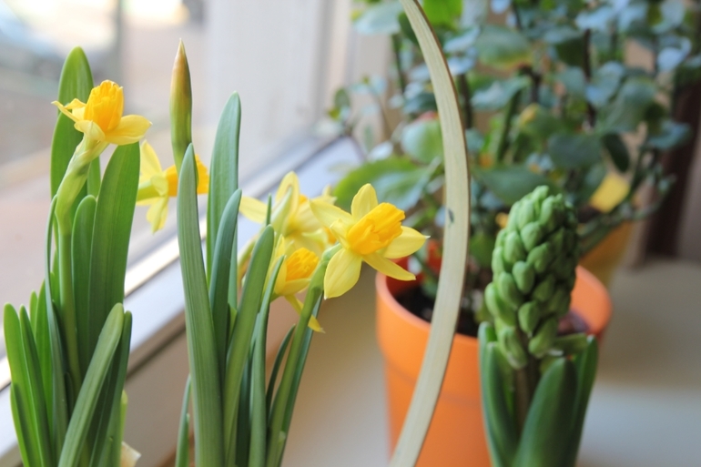 Вот и прошла весна... Наша ВЕСНА 2014