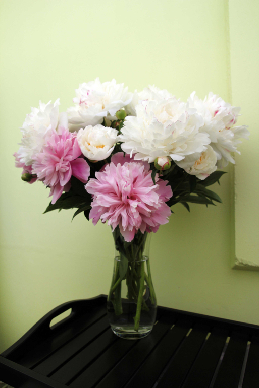 Тематические занятия ЦВЕТЫ, часть 1, вводная)))