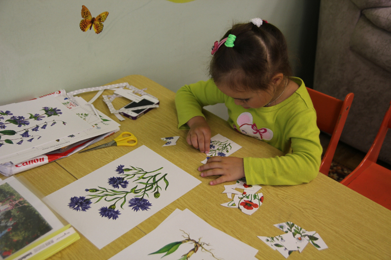 Тематические занятия ЦВЕТЫ, часть 1, вводная)))