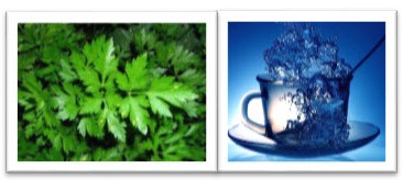 Старт 12 мая. 1.7 - меню на Воскесенье, отчет за Субботу