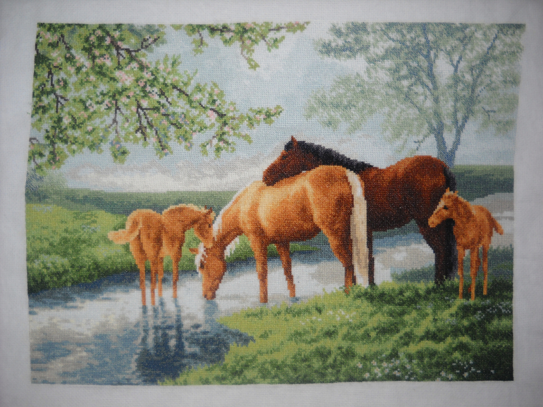 Туманное утро ЗР , Слоны от ДИМ и другие