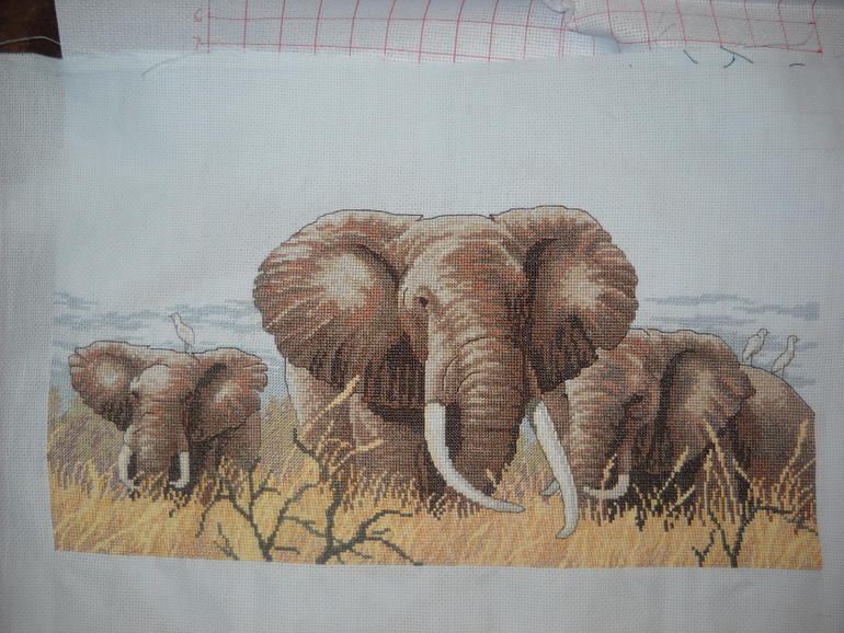 Туманное утро ЗР , Слоны от ДИМ и другие