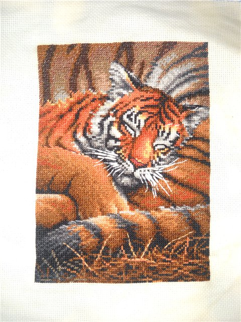 Туманное утро ЗР , Слоны от ДИМ и другие