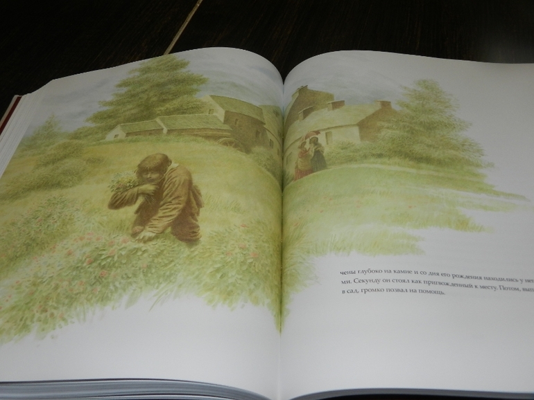 Приключения Оливера Твиста Ч.Диккенс - еще одно сокровище в нашу колекцию