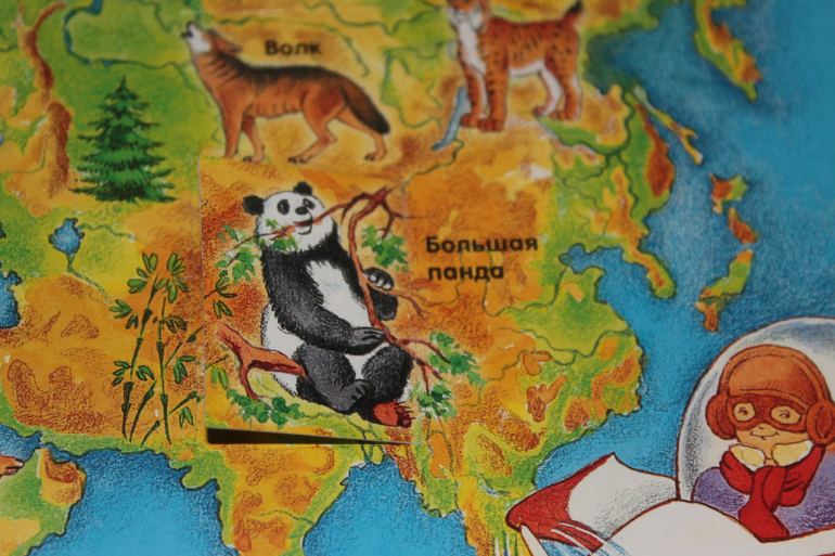 Просто восторг