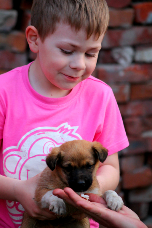 А у нас а у нас живет щенок)))))))))