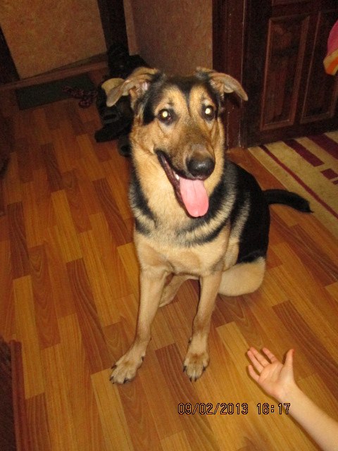 Моя история))) бывает и такое)