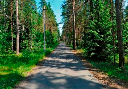 Продажа элитных участков в Репино В поселке Репино на продажу выставлено более 10 земельных объектов.