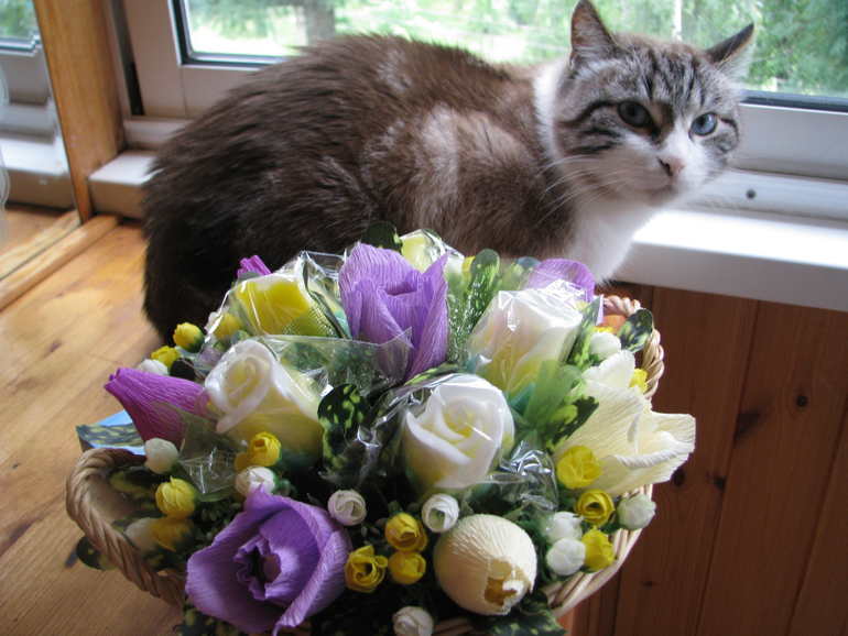 Вот такая малютка получилась