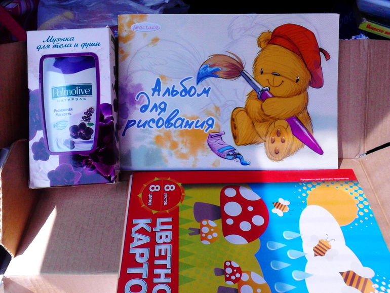 Посылка путешественница