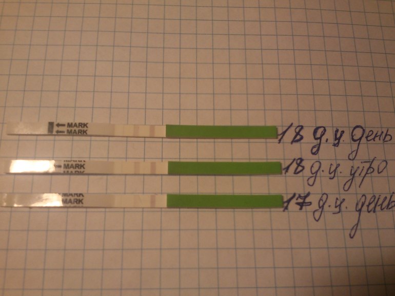 Проба пера) Первый раз делаю тесты. Нужно разъяснение!