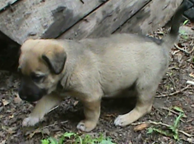 вы уже с ним знакомы