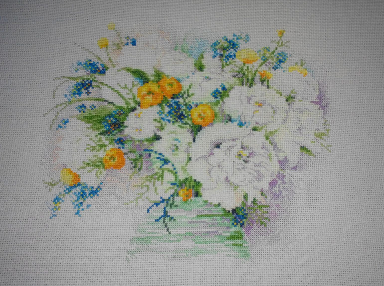 Совместник Риолис. ГАЛЕРЕЯ!!!