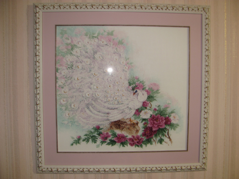 Совместник Риолис. ГАЛЕРЕЯ!!!