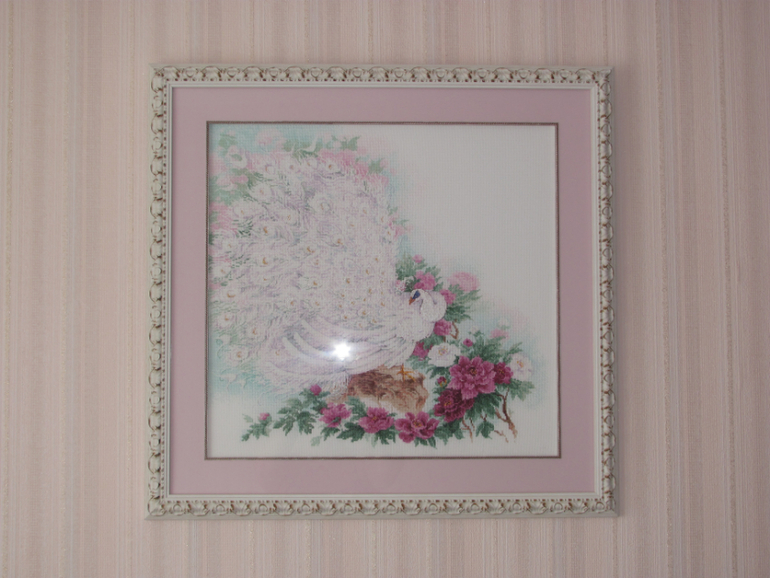 Совместник Риолис. ГАЛЕРЕЯ!!!