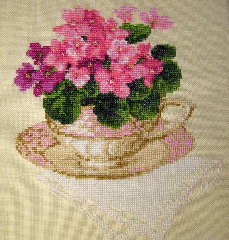 Совместник Риолис. ГАЛЕРЕЯ!!!