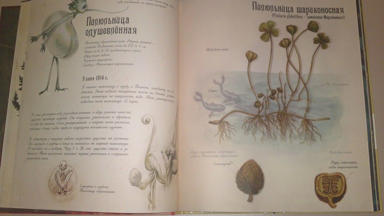 Книжное пополнение февраля