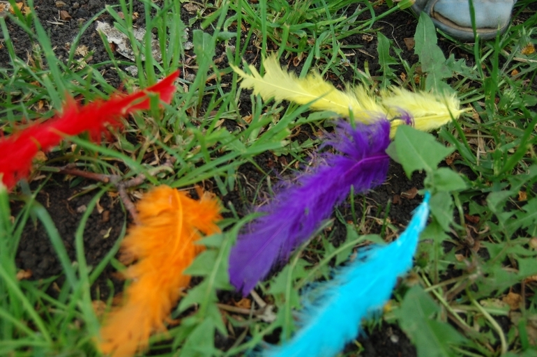 День 26. Поиск перьев