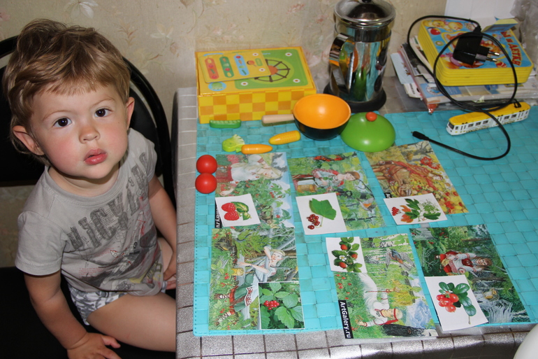 ТЗ Красный цвет. Ягоды.