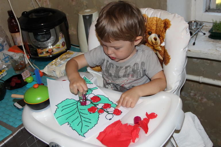 ТЗ Красный цвет. Ягоды.