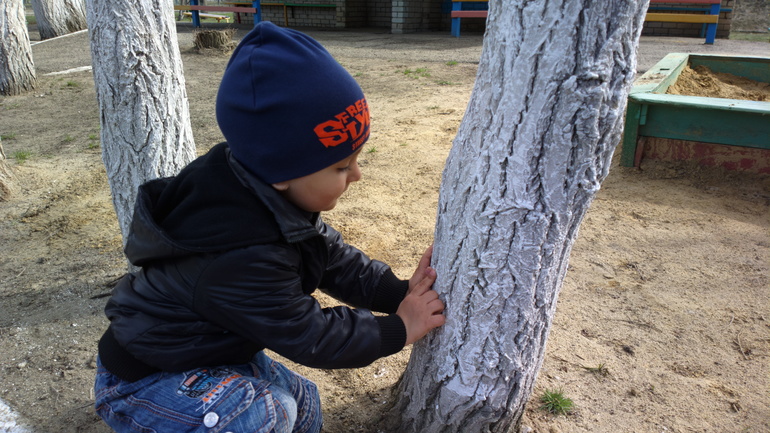 Наша прогулка с пользой.