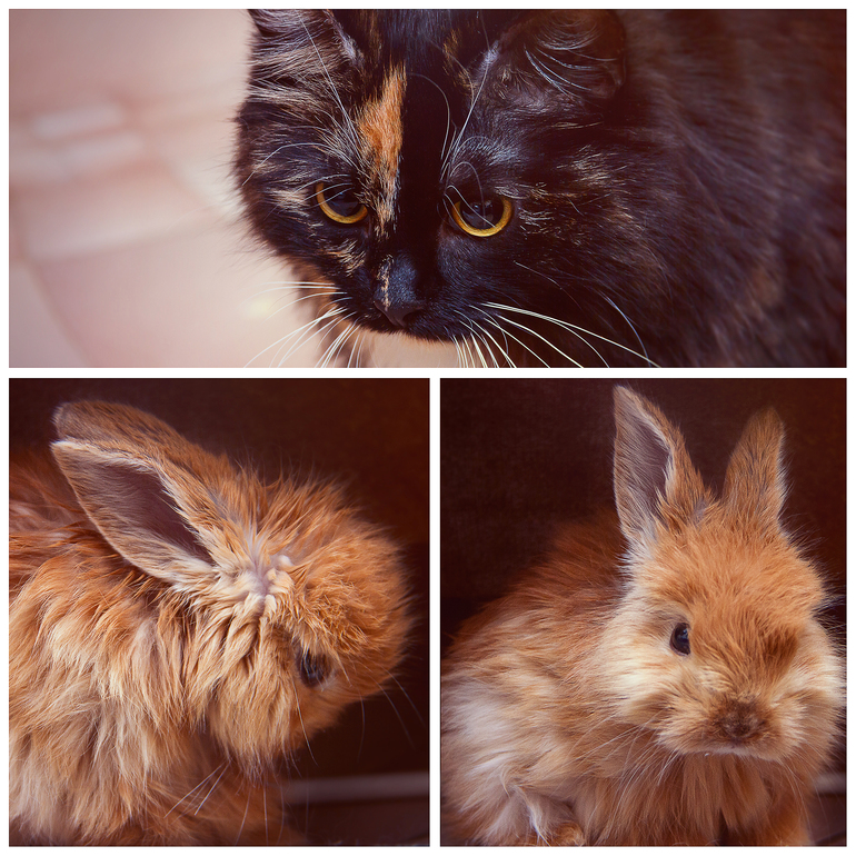 а у нас пополнение )