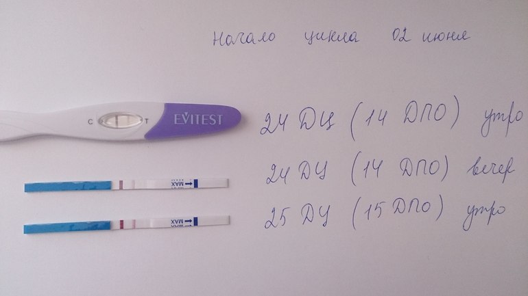 Тест 14-15 ДПО