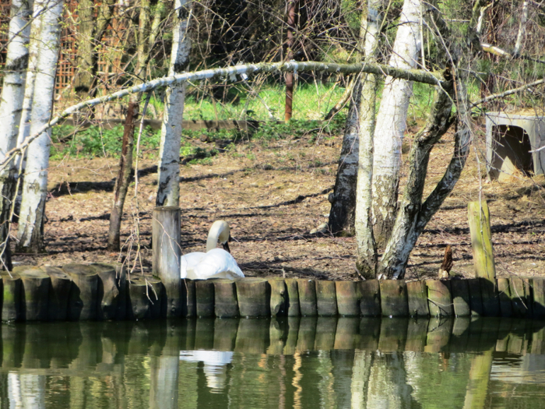 Поездка в частный зоопарк в г. Раменское