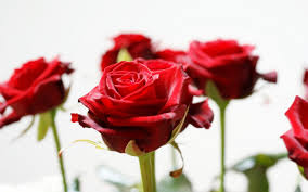 bd5848af8429329973da1f58b8984efa.jpg