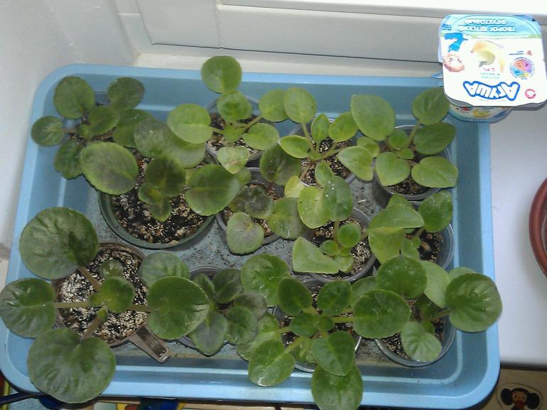 Девочки, пора?