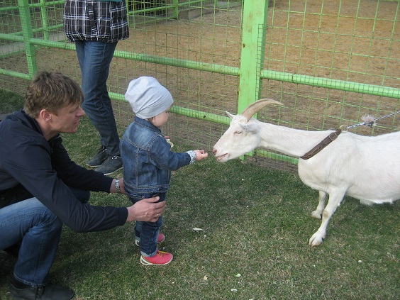 Национальный Конный Парк «РУСЬ»