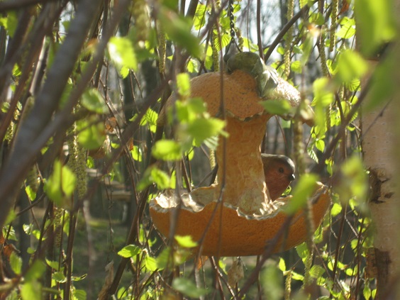 Национальный Конный Парк «РУСЬ»