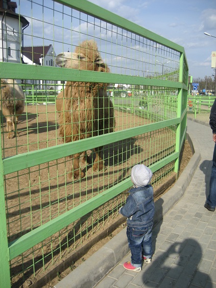Национальный Конный Парк «РУСЬ»