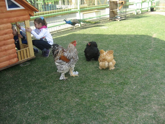 Национальный Конный Парк «РУСЬ»