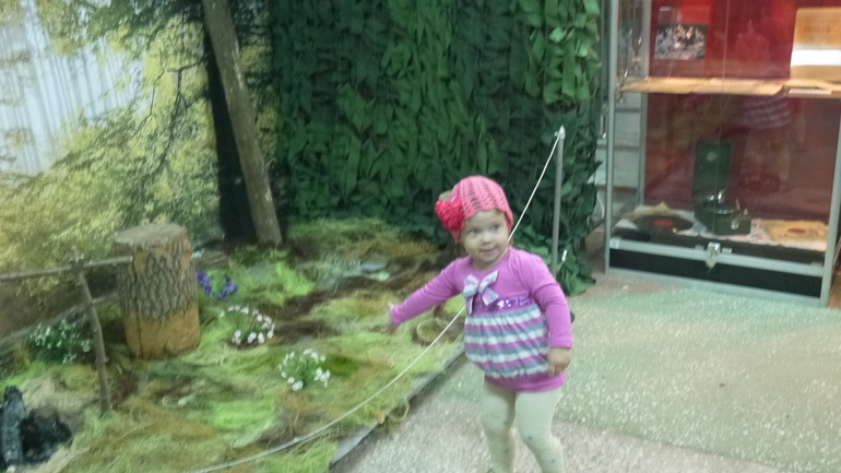 Ночь музеев