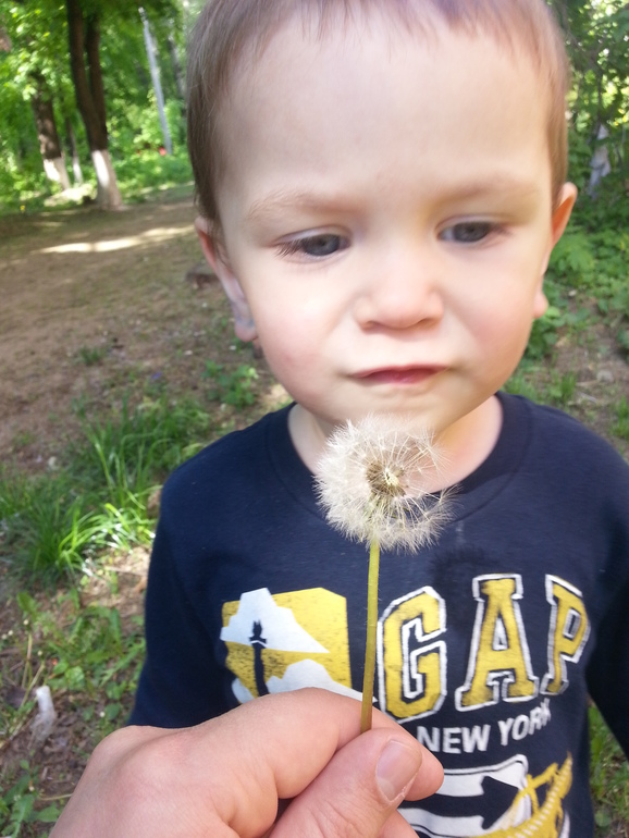 ТЗ Солнышко на ножке