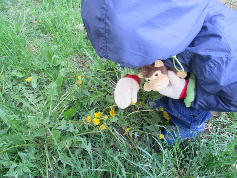 ТЗ Солнышко на ножке.